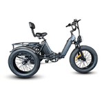 3 Wira Ecargo Trikes